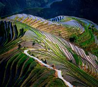 《梯田韵律》