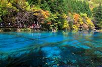 九寨归来不看水