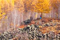 满眼秋色惹人醉