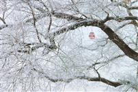 恰好遇见“你”