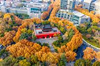 鼓楼戴上金项链