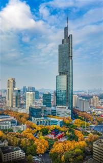 秋染南京地标