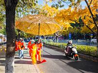 伞下的你们最美