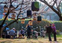 《鸟语花香惹人醉》