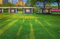 用绿色点亮生活