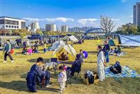 阳光灿烂的日子