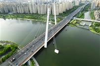 《青林湾大桥》