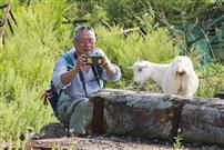 《老人与小羊》