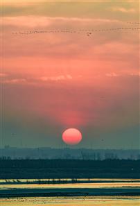 《归雁渡残阳》