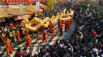 龙舞贺年